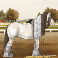 Horse Color:White Spotted Amber Champagne Dun