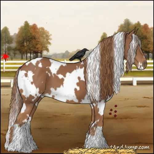 Horse Color:White Spotted Chestnut