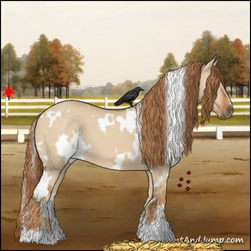 Horse Color:White Spotted Red Dun 
