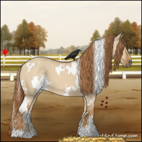 Horse Color:White Spotted Red Dun 
