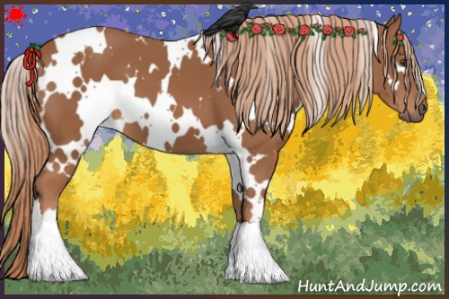 Horse Color:White Spotted Chestnut
