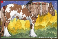 Horse Color:White Spotted Chestnut