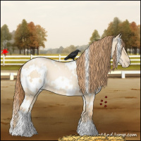 Horse Color:White Spotted Smoky Grullo Pearl 