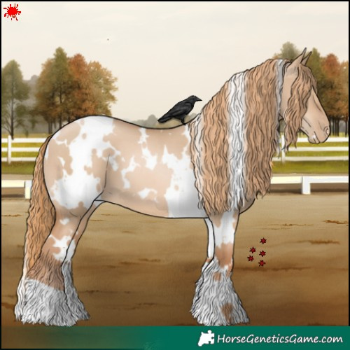 Horse Color:White Spotted Red Dun Pearl 