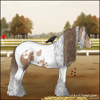 Horse Color:White Spotted Black Pearl Tobiano 