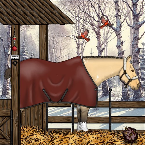 Horse Color:White Spotted Buckskin Dun 