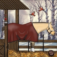 Horse Color:White Spotted Buckskin Dun