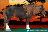 Horse Color:Liver Chestnut  and Liver Chestnut 