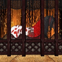 Horse Color:Bay Tobiano Appaloosa 