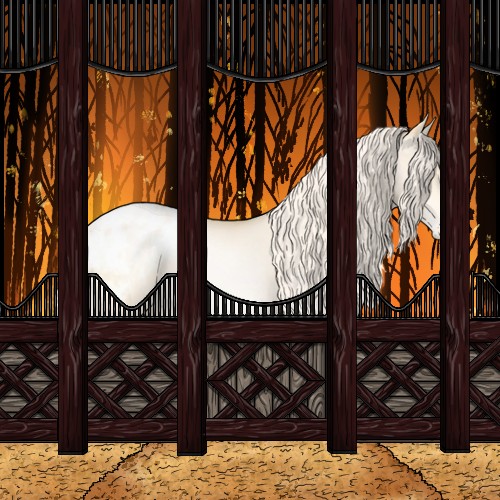 Horse Color:Palomino Pearl Appaloosa 