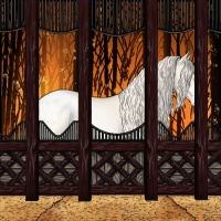 Horse Color:Palomino Pearl Appaloosa