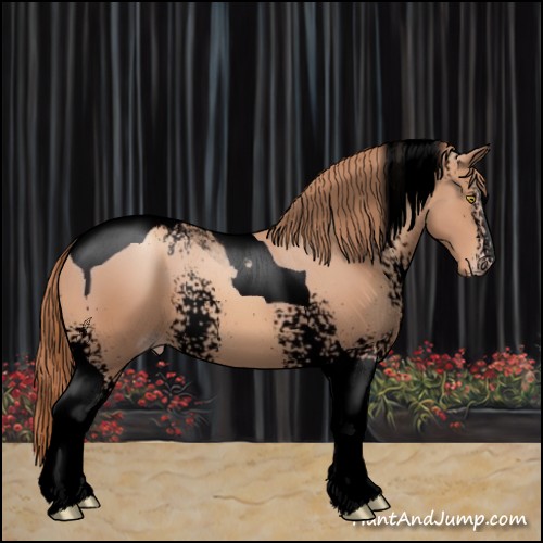 Horse Color:Void White Spotted Gold Champagne Tobiano