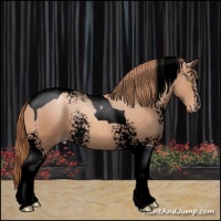 Horse Color:Void White Spotted Gold Champagne Tobiano
