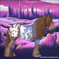 Horse Color:Chestnut Appaloosa 