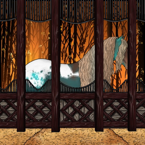 Horse Color:Liver Chestnut Tobiano Appaloosa 