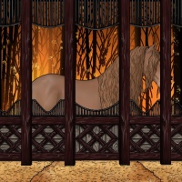 Horse Color:Chestnut Appaloosa