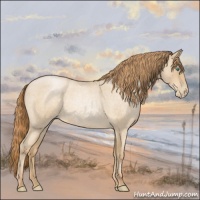 Horse Color:Smoky Blue Roan Pearl 