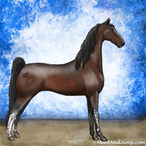 Horse Color:Liver Chestnut  and Bay 