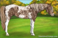 Horse Color:Chocolate Palomino Pearl Tobiano Frame  and Liver Chestnut Tobiano Frame 