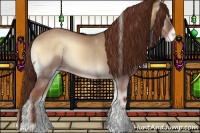 Horse Color:Red Dun Onyx Tobiano Varnish Rabicano