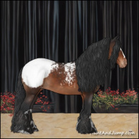Horse Color:Brown Sabino Appaloosa 