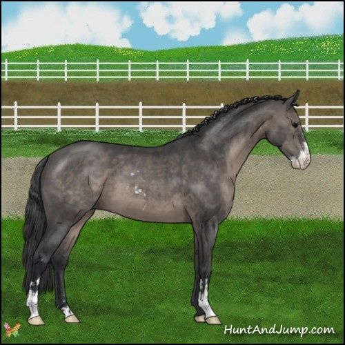 Horse Color:Black Sabino