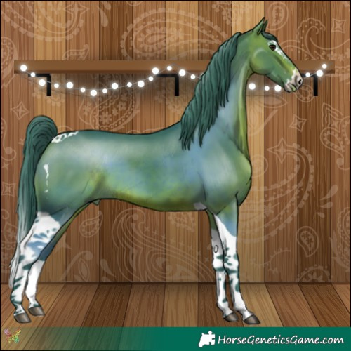 Horse Color:Watercolor Brown Splash Tobiano 