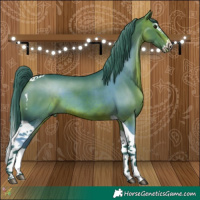 Horse Color:Watercolor Brown Splash Tobiano 