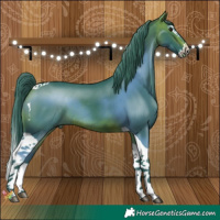Horse Color:Watercolor Brown Splash Tobiano 