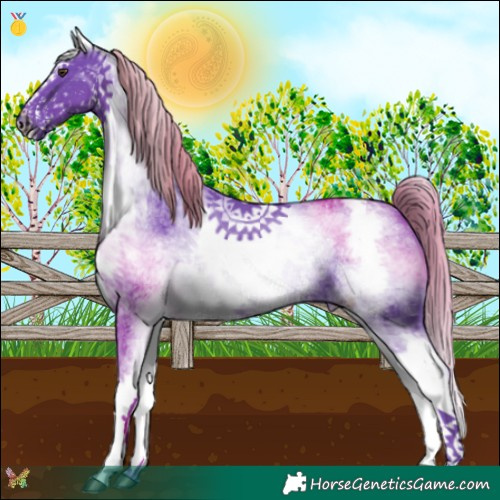 Horse Color:Watercolor White Spotted Liver Chestnut Splash 
