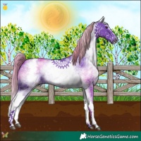 Horse Color:Watercolor White Spotted Liver Chestnut Splash 