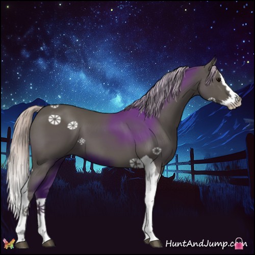 Horse Color:Silver Black Splash Tobiano 
