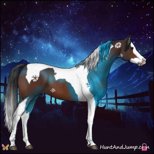Horse Color:Bay Splash Tobiano 