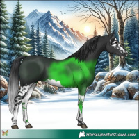Horse Color:Black Splash 
