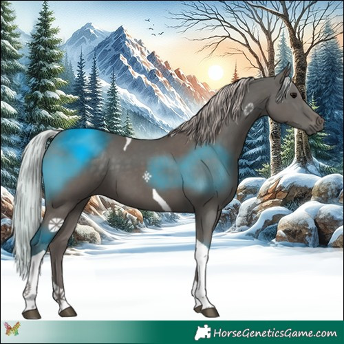 Horse Color:Silver Black Tobiano 