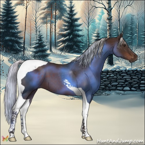 Horse Color:Silver Brown Tobiano 