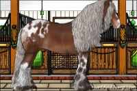 Horse Color:Silver Brown Sabino Tobiano Appaloosa 