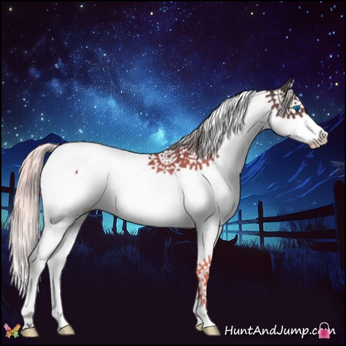 Horse Color:Silver Brown Splash Tobiano 