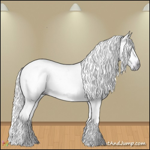 Horse Color:Gray Watercolor Chestnut Ice