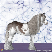 Horse Color:Gray White Spotted Silver Bay Splash Tobiano 