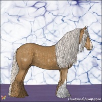 Horse Color:Silver Smoky Black 