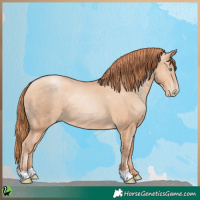 Horse Color:Sable Champagne Pearl 