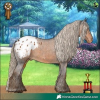 Horse Color:White Spotted Chocolate Palomino Blanket 