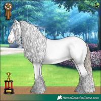 Horse Color:White Spotted Chocolate Palomino Appaloosa 