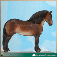 Horse Color:Bay Rabicano 