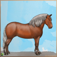 Horse Color:Silver Brown Tobiano 