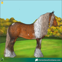 Horse Color:Chocolate Palomino Tobiano 