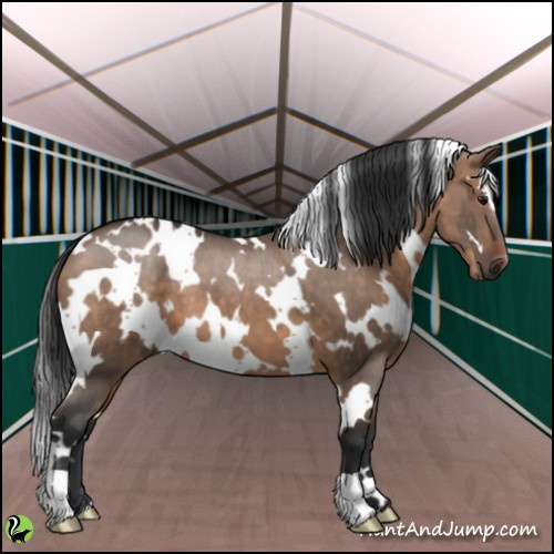 Horse Color:White Spotted Brown Dun 