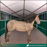 Horse Color:Sable Champagne Rabicano 