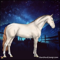 Horse Color:Sable Cream Champagne Pearl Tobiano Rabicano 